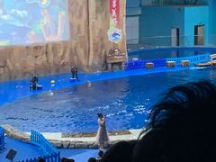 -华夏文旅海洋公园