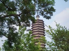 -西海子公园