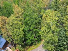 -峡谷浮石林景区