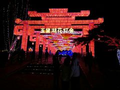 -淄博花灯齐彩城