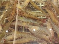 -浩运·海鲜青岛菜·海胆水饺(石老人店)