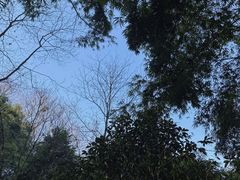 -凤栖山