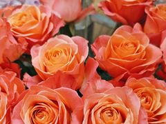 -花心思鲜花店(武昌徐东店)