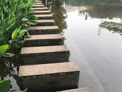 -重庆彩云湖湿地公园