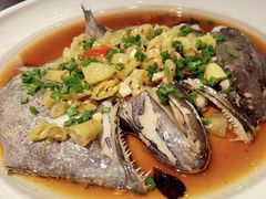 雅片鱼头-乔街深夜食堂·台州菜·高压锅生蚝(杭州总店)