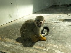 -西安秦岭野生动物园