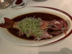 清蒸东星斑-天龙轩(香港丽思卡尔顿酒店)
