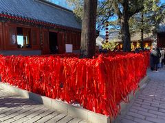 -红螺寺