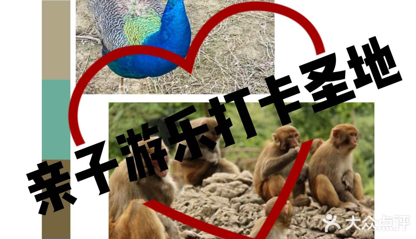 不可错过的亲子游乐