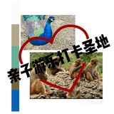 不可错过的亲子游乐