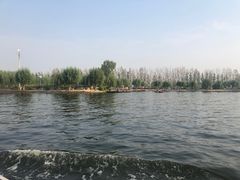 -白洋淀景区