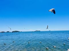 -银沙滩浴场