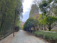 -浮来山风景区