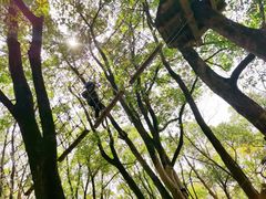 -WeLope紫金山探险公园