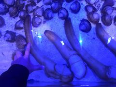 -十六蒲(桂林路店)