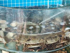 -仙螺岛海鲜自助餐厅(总店)