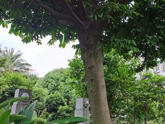-广州神农草堂中医药博物馆