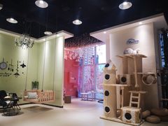 -藏猫猫咖啡主题馆(中央大道店)