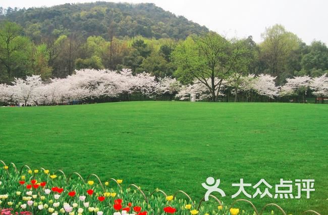 太子湾公园-图片-杭州周边游-大众点评网