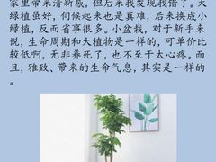 -壹点灵·心理咨询中心(中山公园店)