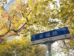 -胶囊画廊
