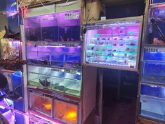 -山东柏宁水族批发广场