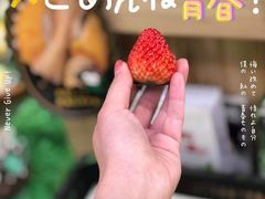 -PAGODA百果园(台柳路凯德广场店)