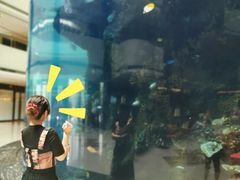 -OPEN開全日自助餐厅·牛肉火锅·海鲜(佛山希尔顿酒店)