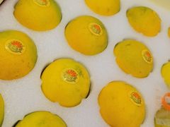 -南阳食府·河南豫菜(南阳驻京办店)