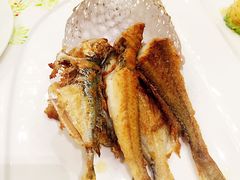 -京粤荟(海王银河科技大厦店)