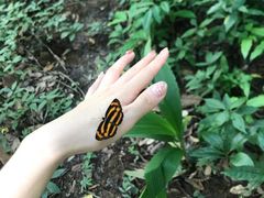 -中国科学院西双版纳热带植物园