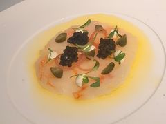 -Oyster Talks 四度蚝法餐厅