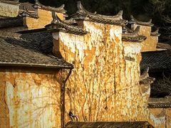 -杨家堂村