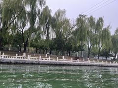 -皇家御河游(紫御湾码头)