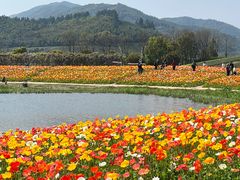 -径山花海