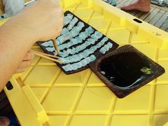 -斐济双桅帆船外岛一日游 浮潜 海钓 Tinhao号