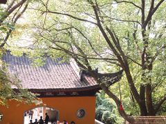 -灵岩山风景区
