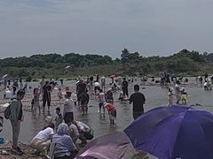 -绿堤公园