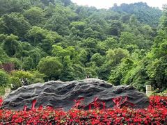 -黔灵山公园