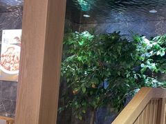 -邵汇大虾火锅(鲁迅路店)