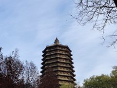 -玲珑塔公园