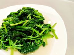 -光明邨大酒家(汇阳广场店)