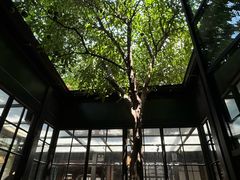 -民国红公馆(老门东店)