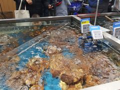 -盒马鲜生(大成店)