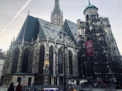 -斯蒂芬主教座堂(Stephansdom)