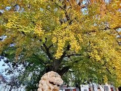 -北京石刻艺术博物馆(五塔寺)