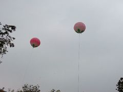 android_upload_pic-田园东方蜜桃村的田野营地