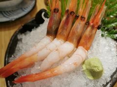 -舞漁日料美人胶原锅(陆家嘴中心店)