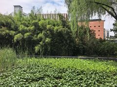 -郭守敬纪念馆
