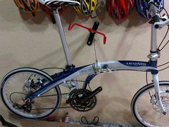 -道路口单车爱瓦士dahon大行